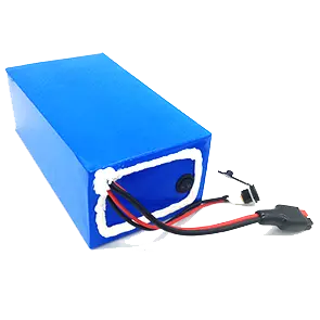 Custom Lithium Ion Battery